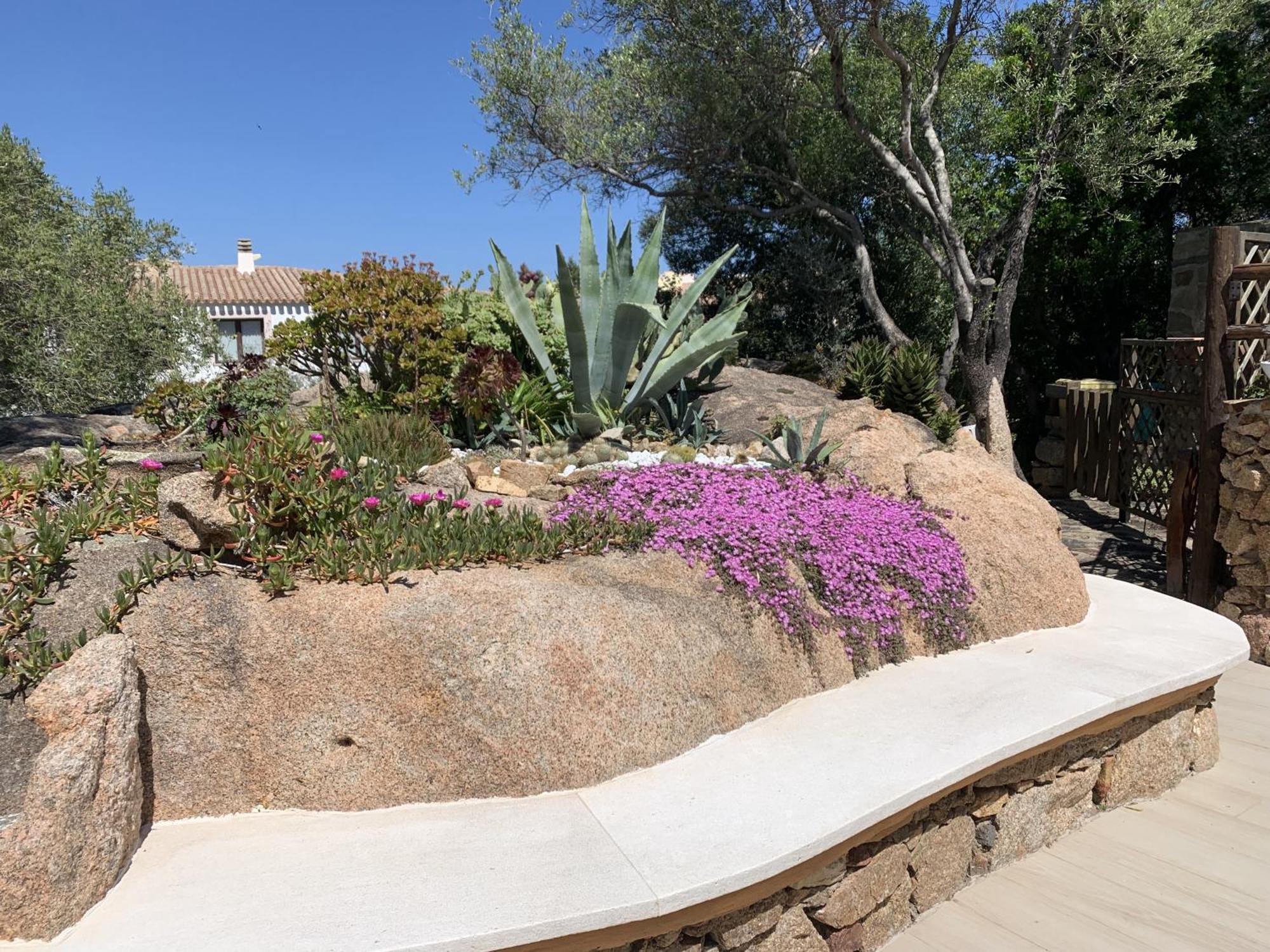 Villa L'Olivastro Porto Cervo Esterno foto