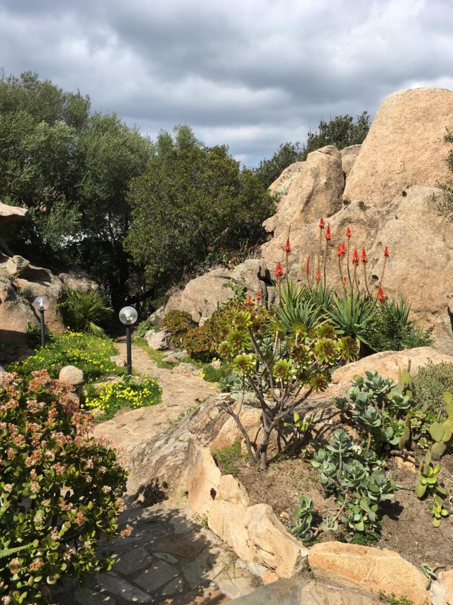 Villa L'Olivastro Porto Cervo Esterno foto