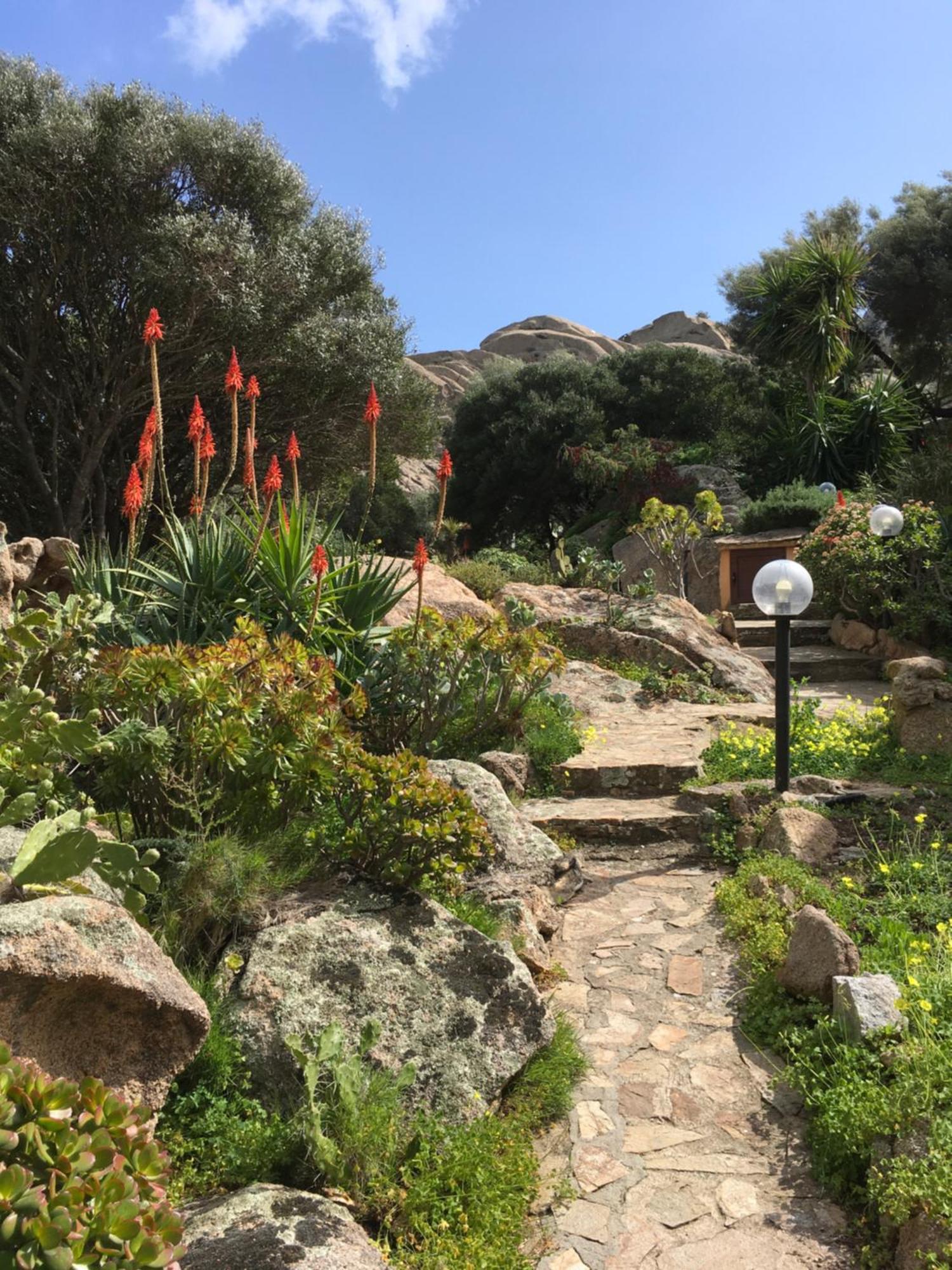 Villa L'Olivastro Porto Cervo Esterno foto