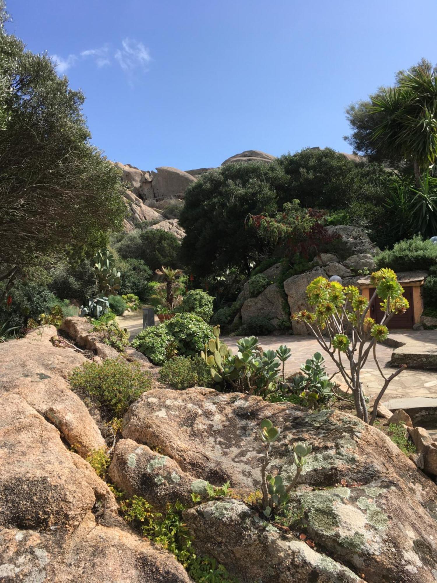 Villa L'Olivastro Porto Cervo Esterno foto