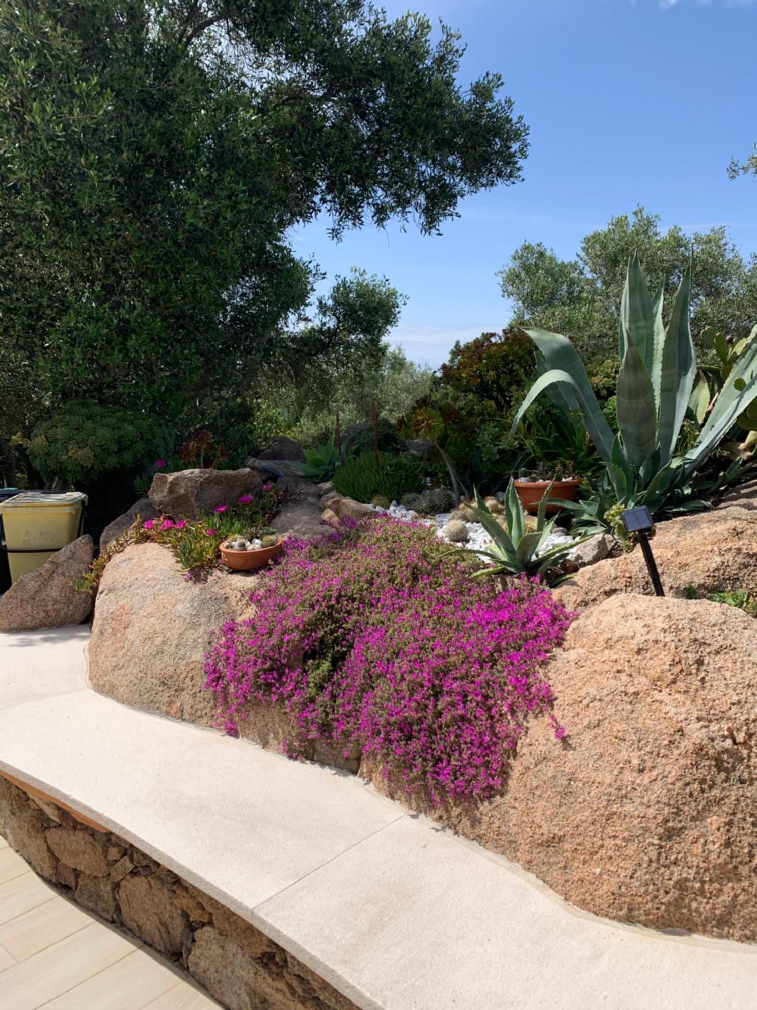 Villa L'Olivastro Porto Cervo Esterno foto